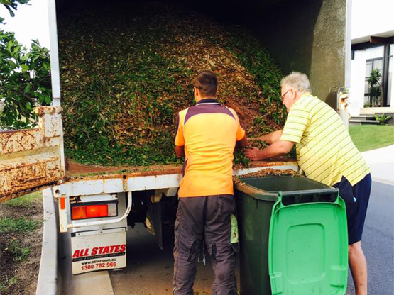 Arborist unloading mulch from chipper truck after tree removal of gum tree