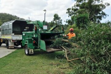 Chipper Truck mulching large gum tree on residential property