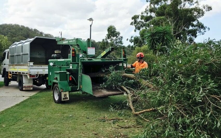 Chipper Truck mulching large gum tree on residential property
